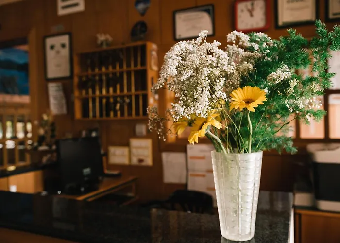 Отель Nilde Сканно